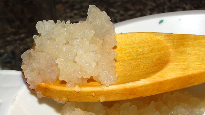 Is Water Kefir really Kefir? Is Water Kefir really Kefir?
